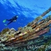 numidia_bro_b_h_0306_egy0670.jpg